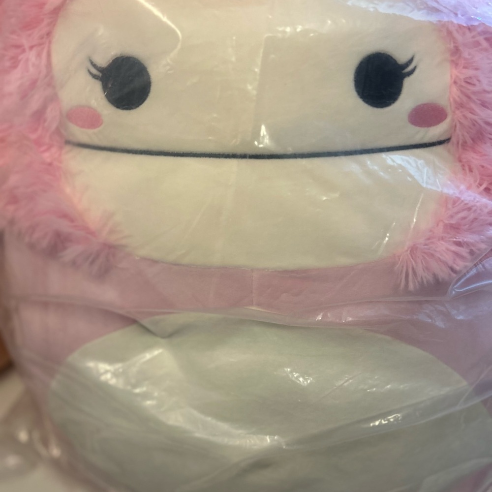 XL Brina the Bigfoot Sealed Squishmallows - Picture 2 of 7